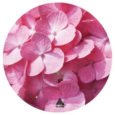 PAD MOUSE SLIM REDONDO FLORES ROSA METALICO 4079 CLONE